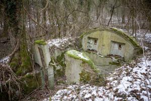 Ligne Maginot - BOIS DE COUME 3 - (Abri) - 