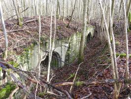 Ligne Maginot - BOIS DE COUME 2 (6° CIE DU II/160° RIF) - (PC de Sous-Quartier) - Une vue d'ensemble