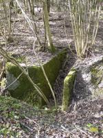 Ligne Maginot - BOIS DE COUME 2 (6° CIE DU II/160° RIF) - (PC de Sous-Quartier) - L'accès au PC