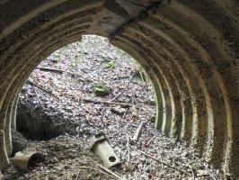 Ligne Maginot - BOIS DE COUME 2 (6° CIE DU II/160° RIF) - (PC de Sous-Quartier) - Vue depuis l'intérieur de la deuxième alvéole.