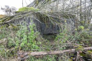 Ligne Maginot - BOIS DE KERFENT NORD 1 - (Blockhaus pour arme infanterie) - 