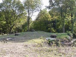 Ligne Maginot - BOIS DE LAUDREFANG NORD - C76 - (Casemate d'infanterie - Simple) - Les dessus