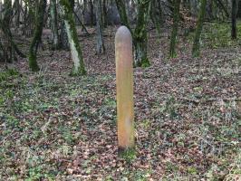 Ligne Maginot - BOIS DE LAUDREFANG NORD - C76 - (Casemate d'infanterie - Simple) - Vestiges du réseau anti-char près de la casemate