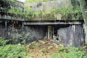 Ligne Maginot - BOIS DE LAUDREFANG NORD - C76 - (Casemate d'infanterie - Simple) - 