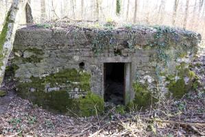 Ligne Maginot - BOIS DE TETING  (7°CIE II/146° RIF) - (PC de Sous-Quartier) - Alvéole ouest