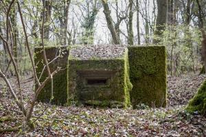 Ligne Maginot - BOIS DE TETING 2 - (Blockhaus pour arme infanterie) - 