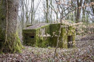 Ligne Maginot - BOIS DE TETING 2 - (Blockhaus pour arme infanterie) - 