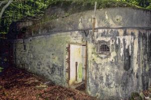 Ligne Maginot - BOIS DE LAUDREFANG SUD - C77 - (Casemate d'infanterie - Simple) - 