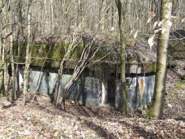 Ligne Maginot - BOIS DE LAUDREFANG SUD - C77 - (Casemate d'infanterie - Simple) - La casemate sud