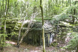 Ligne Maginot - BOIS DE LAUDREFANG SUD - C77 - (Casemate d'infanterie - Simple) - Face arrière