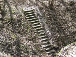 Ligne Maginot - BOIS DE LAUDREFANG SUD - C77 - (Casemate d'infanterie - Simple) - L'escalier d'accès à la casemate
