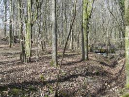 Ligne Maginot - BOIS DE LAUDREFANG SUD - C77 - (Casemate d'infanterie - Simple) - La casemate et le blockhaus anti-char
