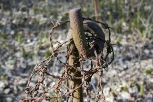 Ligne Maginot - ROUTE DU LUXEMBOURG - O10 - (Observatoire d'artillerie) - Réseau de barbelés autour de l'observatoire