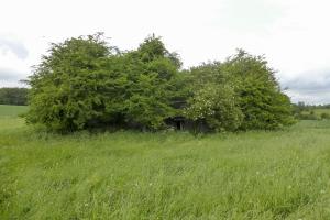 Ligne Maginot - CHEMIN DE FER OUEST - (Blockhaus pour canon) - Noyé dans un bosquet