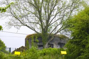 Ligne Maginot - B544 - L'HOGNEAU - (Blockhaus pour canon) - Photo prise du chemin Lucq longeant l'Hogneau.