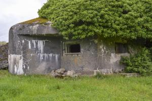 Ligne Maginot - B546 - LA TALPIETTE - (Blockhaus pour canon) - 