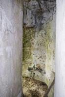 Ligne Maginot - B546 - LA TALPIETTE - (Blockhaus pour canon) - L'entrée du personnel