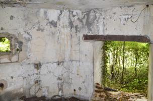 Ligne Maginot - B546 - LA TALPIETTE - (Blockhaus pour canon) - 