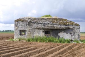 Ligne Maginot - B563 - PETIT CHENE - (Blockhaus pour canon) - 