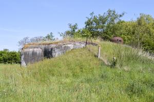 Ligne Maginot - BRUILLE SUD 1 - (Casemate d'infanterie - Simple) - 