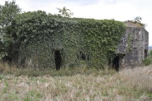Ligne Maginot - B175 - LEVRETTE - (Blockhaus pour canon) - Les entrées
