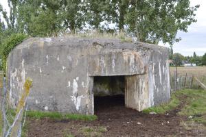 Ligne Maginot - B223 - LE BERTHOF SUD-EST - (Blockhaus pour canon) - 