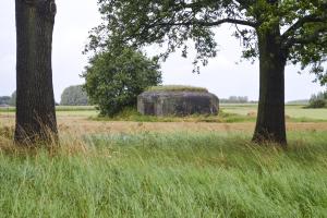 Ligne Maginot - B339 - CENSE DE COBRIEUX - (Blockhaus pour canon) - 