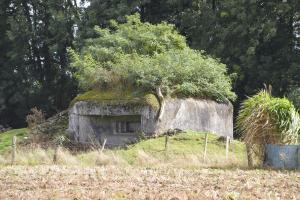 Ligne Maginot - B348 - PONT DE FRANCE - (Blockhaus pour canon) - 