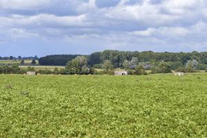 Ligne Maginot - B356 - PONT DU CHATEAU - (Blockhaus pour canon) - Le blockhaus vu de loin