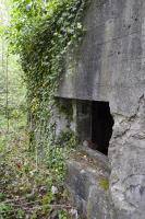 Ligne Maginot - BEF 301 - BOIS DE LA TASSONNIERE - (Blockhaus pour canon) - 