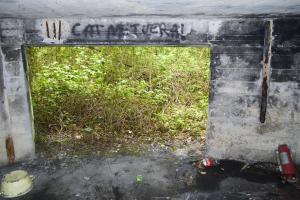 Ligne Maginot - BEF 301 - BOIS DE LA TASSONNIERE - (Blockhaus pour canon) - L'entrée