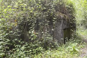 Ligne Maginot - B347 - BOIS DE VARLET SUD 2 - (Blockhaus pour canon) - 