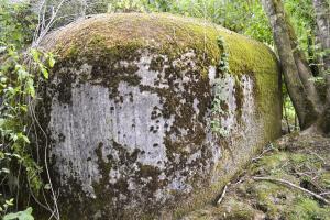 Ligne Maginot - B344 - BOIS DE VARLET NORD - (Blockhaus pour canon) - 