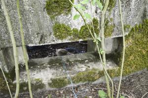 Ligne Maginot - B344 - BOIS DE VARLET NORD - (Blockhaus pour canon) - Le créneau principal