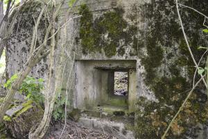 Ligne Maginot - B344 - BOIS DE VARLET NORD - (Blockhaus pour canon) - Le créneau latéral