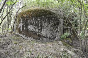 Ligne Maginot - B344 - BOIS DE VARLET NORD - (Blockhaus pour canon) - 