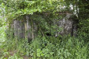 Ligne Maginot - B343 - BOIS DE BERCU NORD - (Blockhaus pour canon) - 