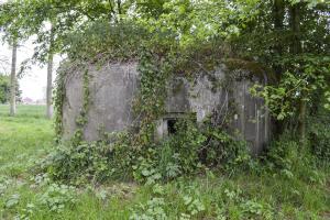 Ligne Maginot - B343 - BOIS DE BERCU NORD - (Blockhaus pour canon) - 