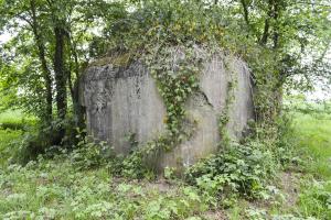 Ligne Maginot - B343 - BOIS DE BERCU NORD - (Blockhaus pour canon) - 