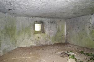 Ligne Maginot - B343 - BOIS DE BERCU NORD - (Blockhaus pour canon) - 