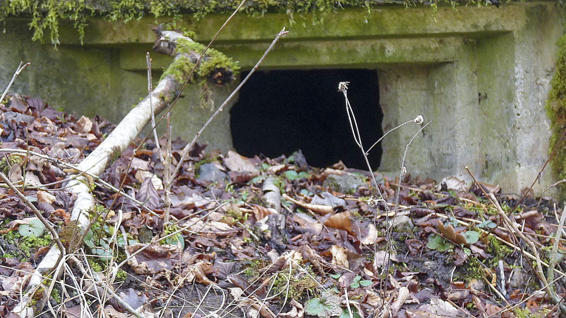 Ligne Maginot - HESTROFF NORD 6 - (Blockhaus pour arme infanterie) -  - Sylvie Laure LAMBERT