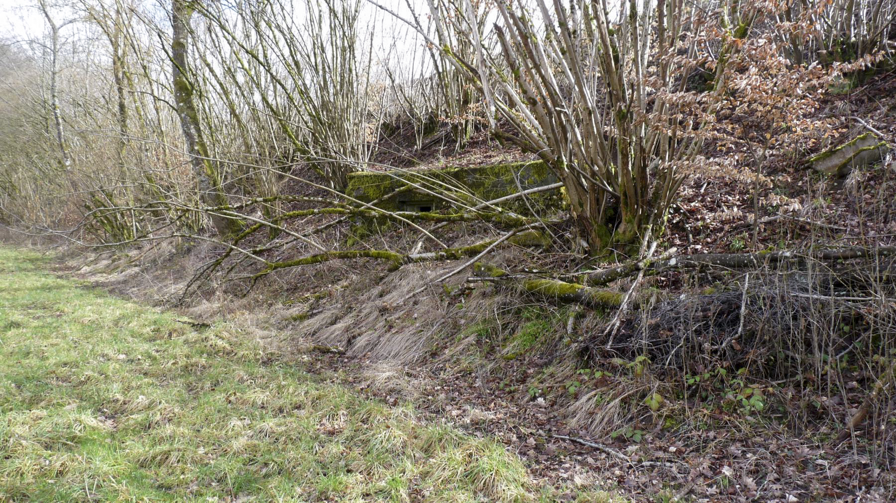 Ligne Maginot - HESTROFF NORD 6 - (Blockhaus pour arme infanterie) - 