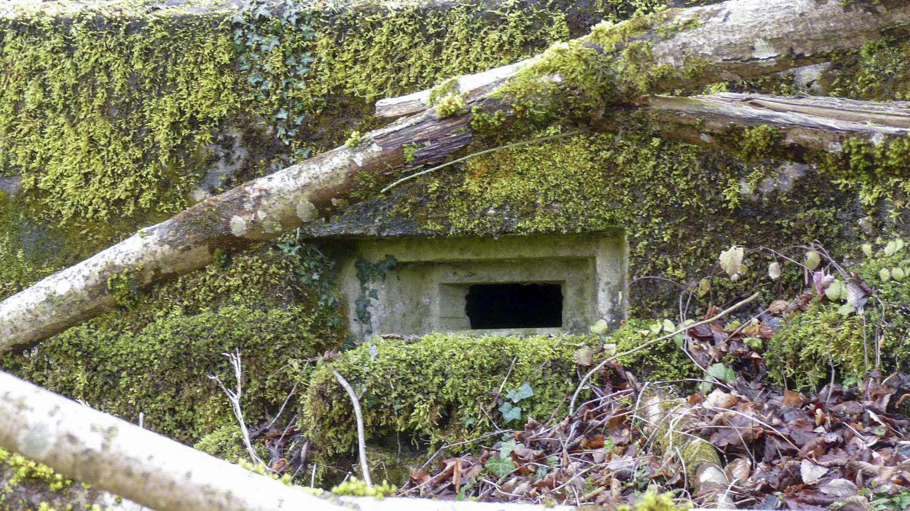 Ligne Maginot - HESTROFF NORD 6 - (Blockhaus pour arme infanterie) - 