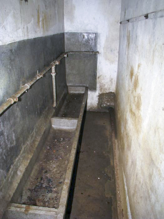 Ligne Maginot - GROS BOIS - X1 (QUARTIER LUDELANGE - I/128°RIF) - (Abri) - Lavabos