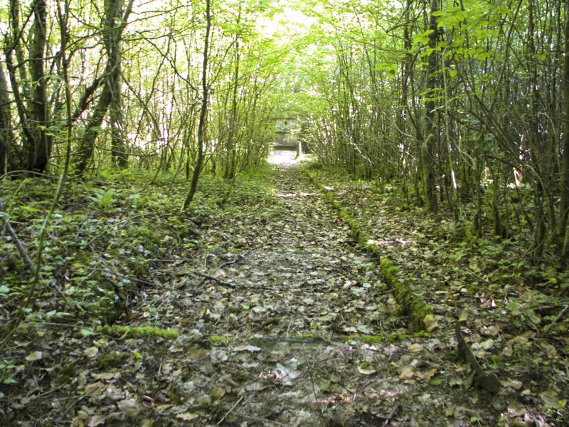 Ligne Maginot - GROS BOIS - X1 (QUARTIER LUDELANGE - I/128°RIF) - (Abri) - L'un des deux escaliers d'accès à l'abri
