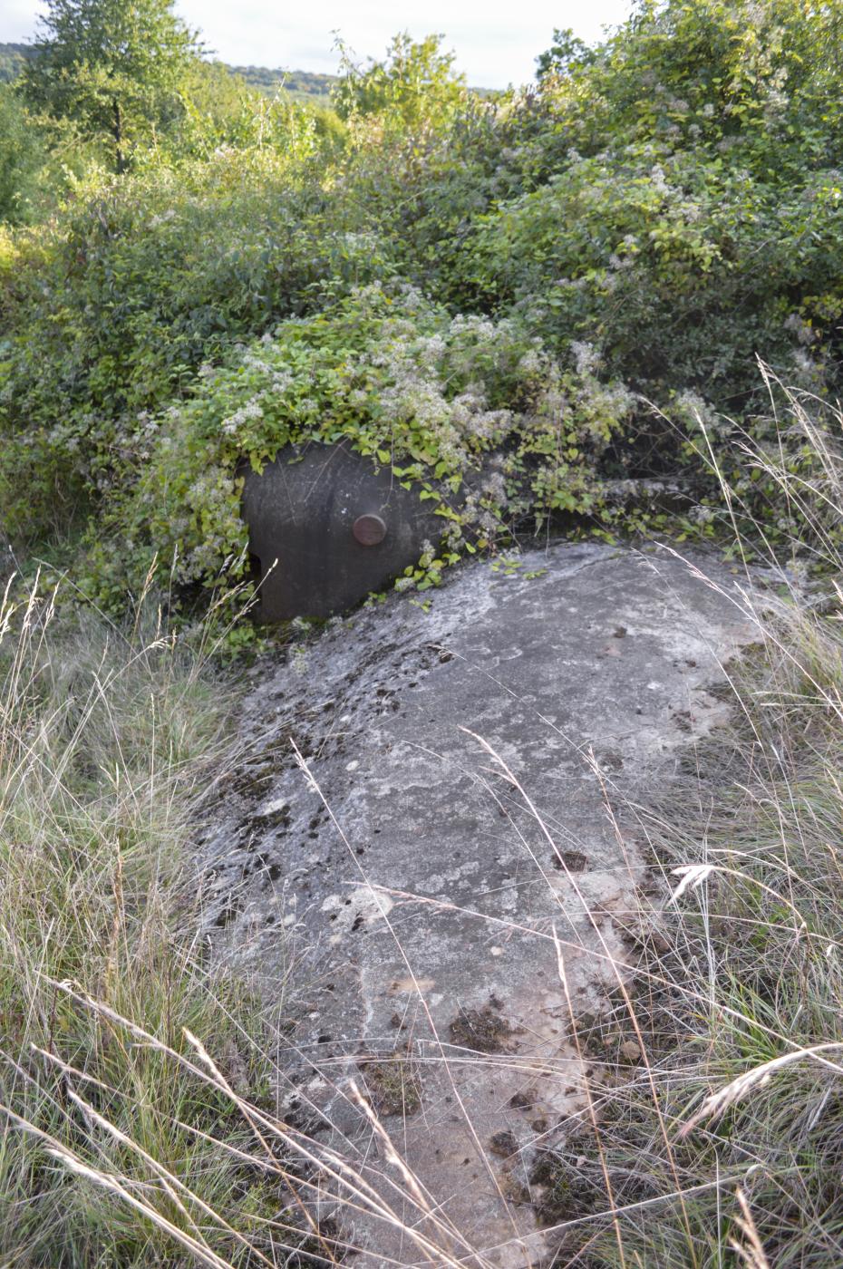 Ligne Maginot - PETERSBERG EST - C40 - (Casemate d'infanterie - Simple) -  - ukmaginot