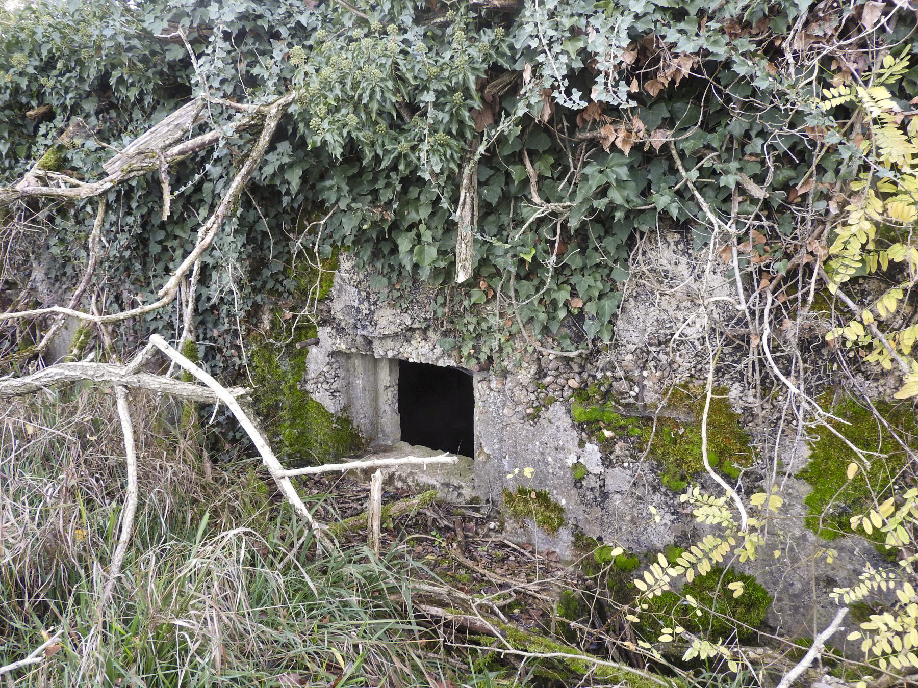 Ligne Maginot - BB226 - ROTHERBERG 04 - (Blockhaus pour arme infanterie) - Le créneau frontal pour mitrailleuse. - STENGER Mathieu
