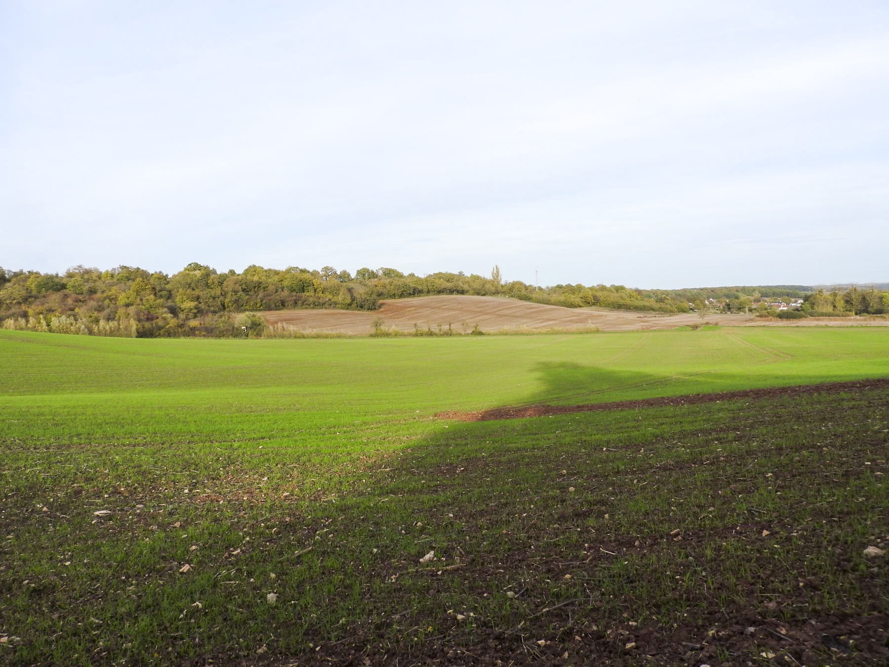 Ligne Maginot - BB226 - ROTHERBERG 04 - (Blockhaus pour arme infanterie) - Le champ de tir du créneau frontal.  - STENGER Mathieu