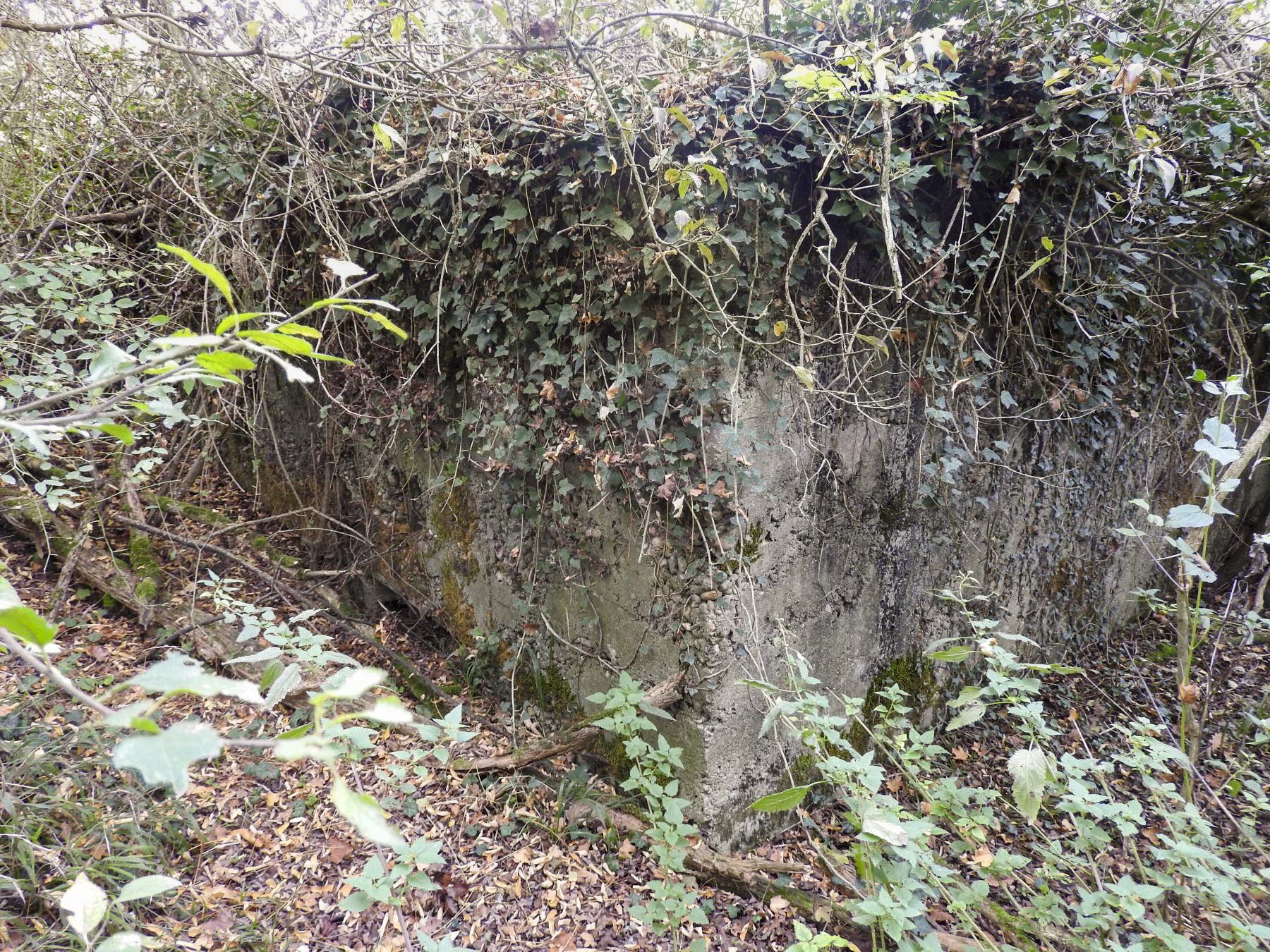 Ligne Maginot - BB226 - ROTHERBERG 04 - (Blockhaus pour arme infanterie) - L'entrée est remblayée. - STENGER Mathieu