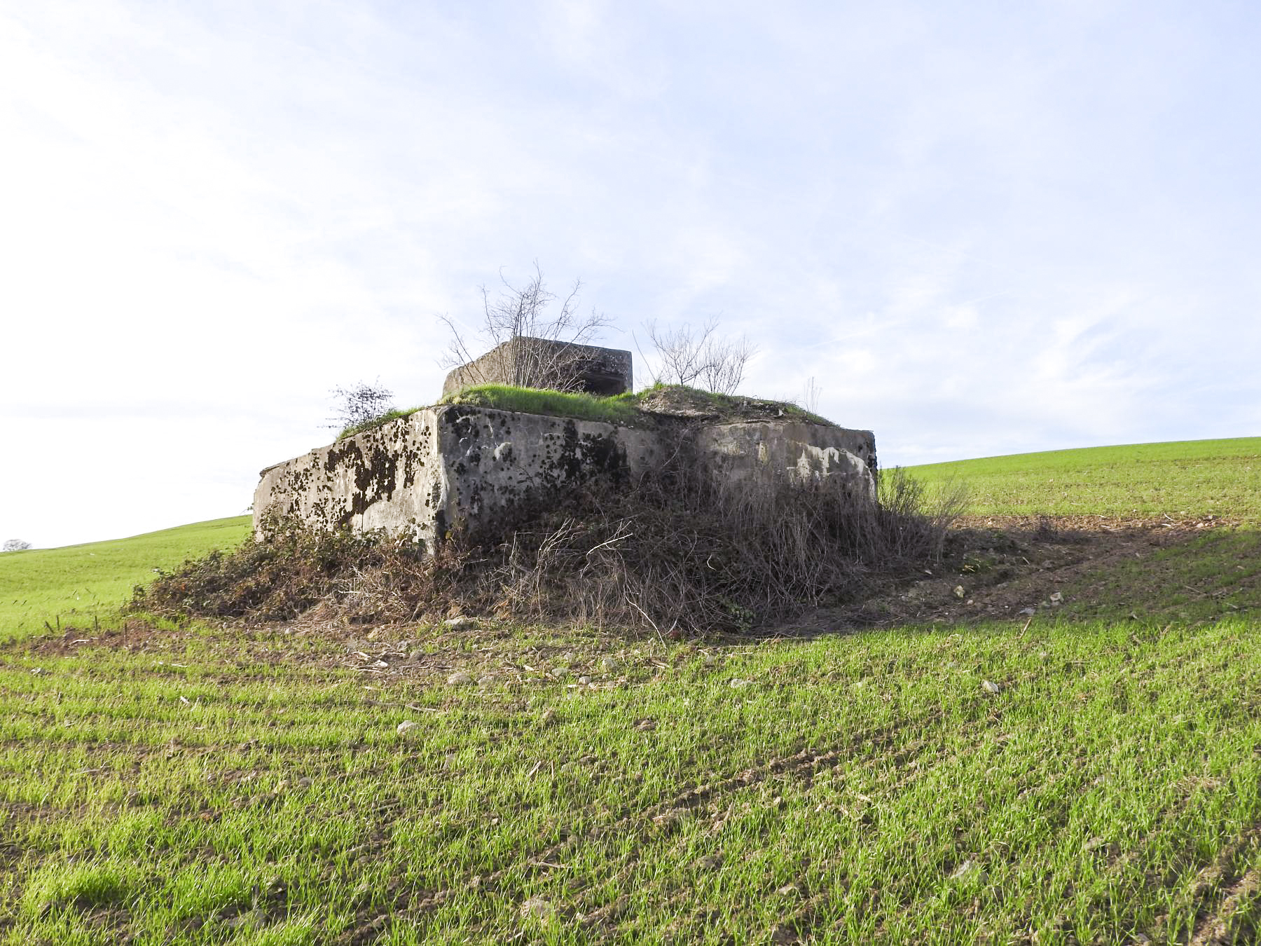 Ligne Maginot - BB227 - ROTHERBERG 01 - (Blockhaus pour arme infanterie) - La façade de tir remblayée. - STENGER Mathieu